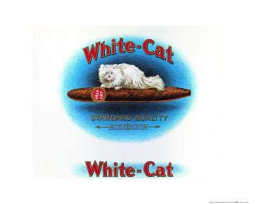 White Cat Cigar Brand Poster (16x20)