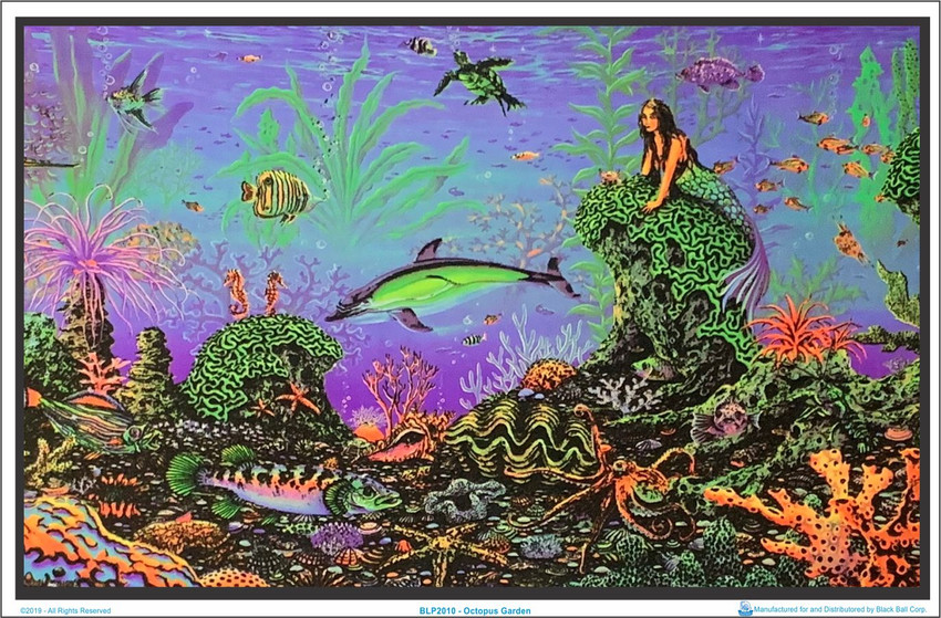 Octopus Garden by: Michael Fishel Blacklight Poster - Flocked - 23