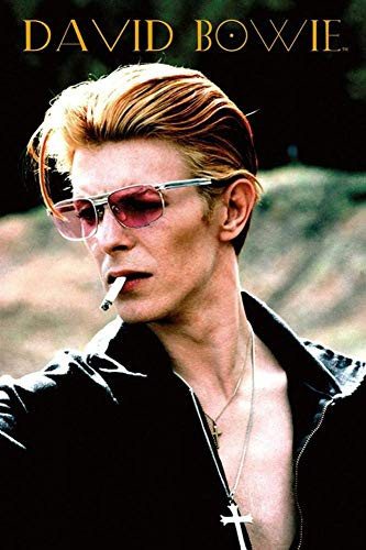 David Bowie Ziggy Stardust Poster 24 x 36