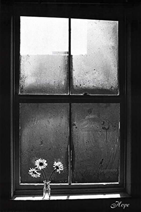 Hope (Window with Flowers) Art Poster Print (24x36)