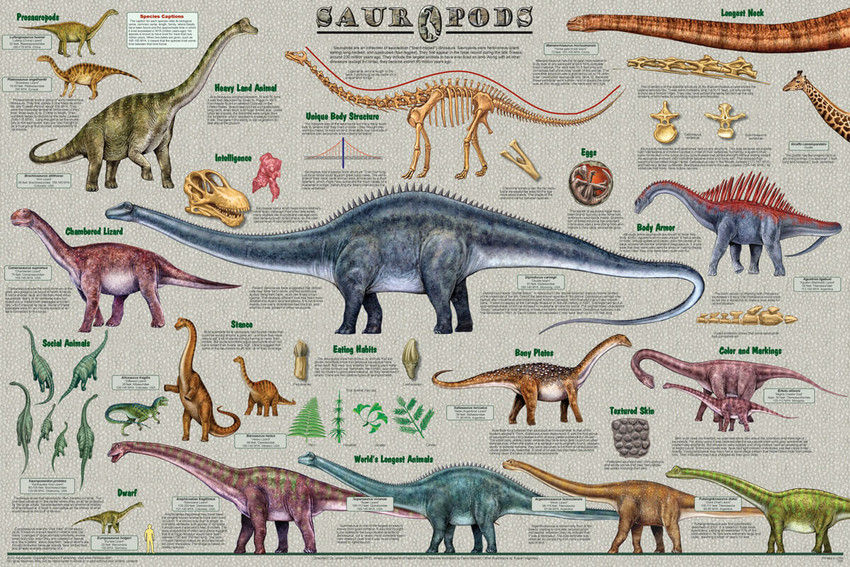 Sauropods Educational Poster 36x24