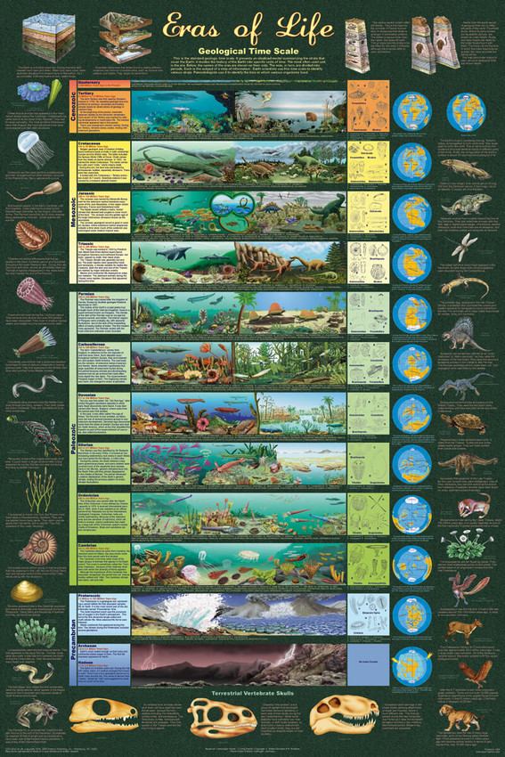 Eras of Life Educational Poster 24x36