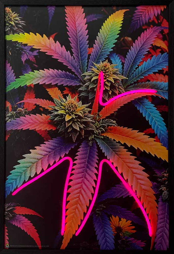 Herbal Cannibis Leaves Framed LED Neon Light Canvas Print - 24" x 36" Herbal Cannibis Leaves Framed LED Neon Light Canvas Print - 24" x 36"
