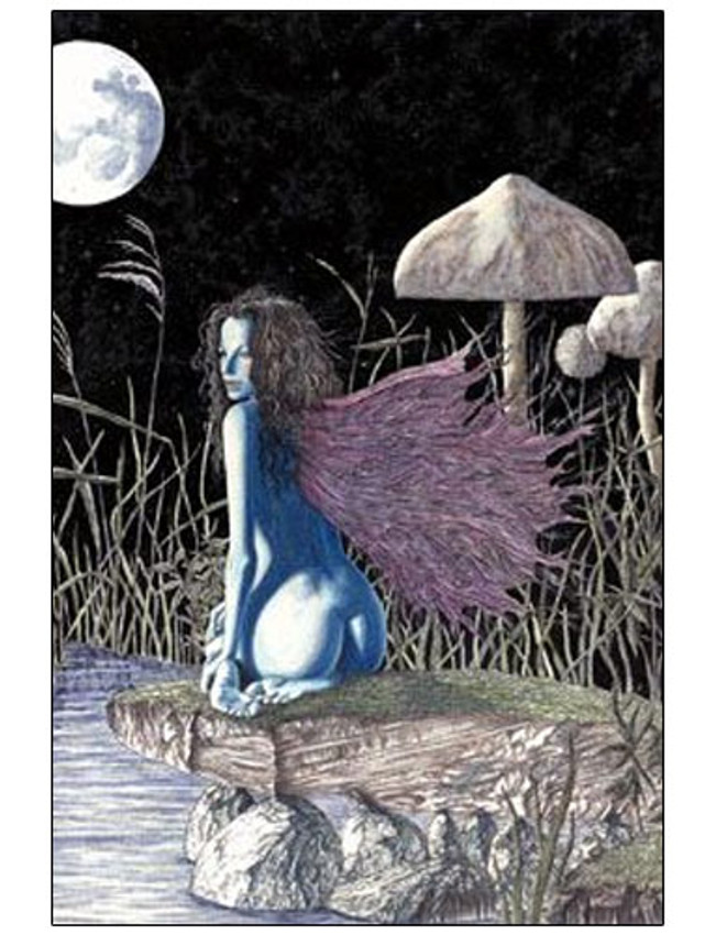 Moon Shadows Poster 24in x 36in