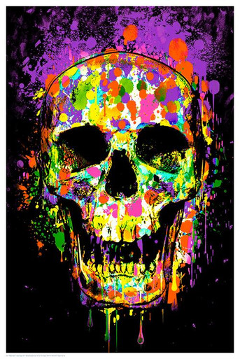 レア‼️USA 製　BLACKLIGHT SKULL POSTER スカルヘッド FP1469__30505.1603549353.386.