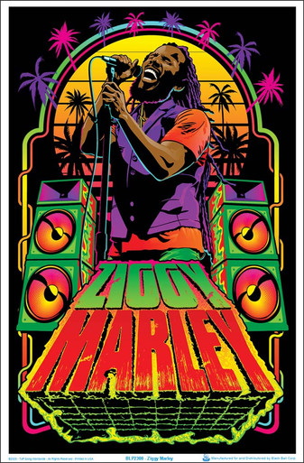 90'sヴィンテージ ブラックライトポスター BOB MARLEY COLORS