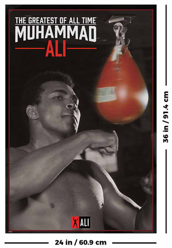 Muhammad Ali Punching Bag Poster - 24