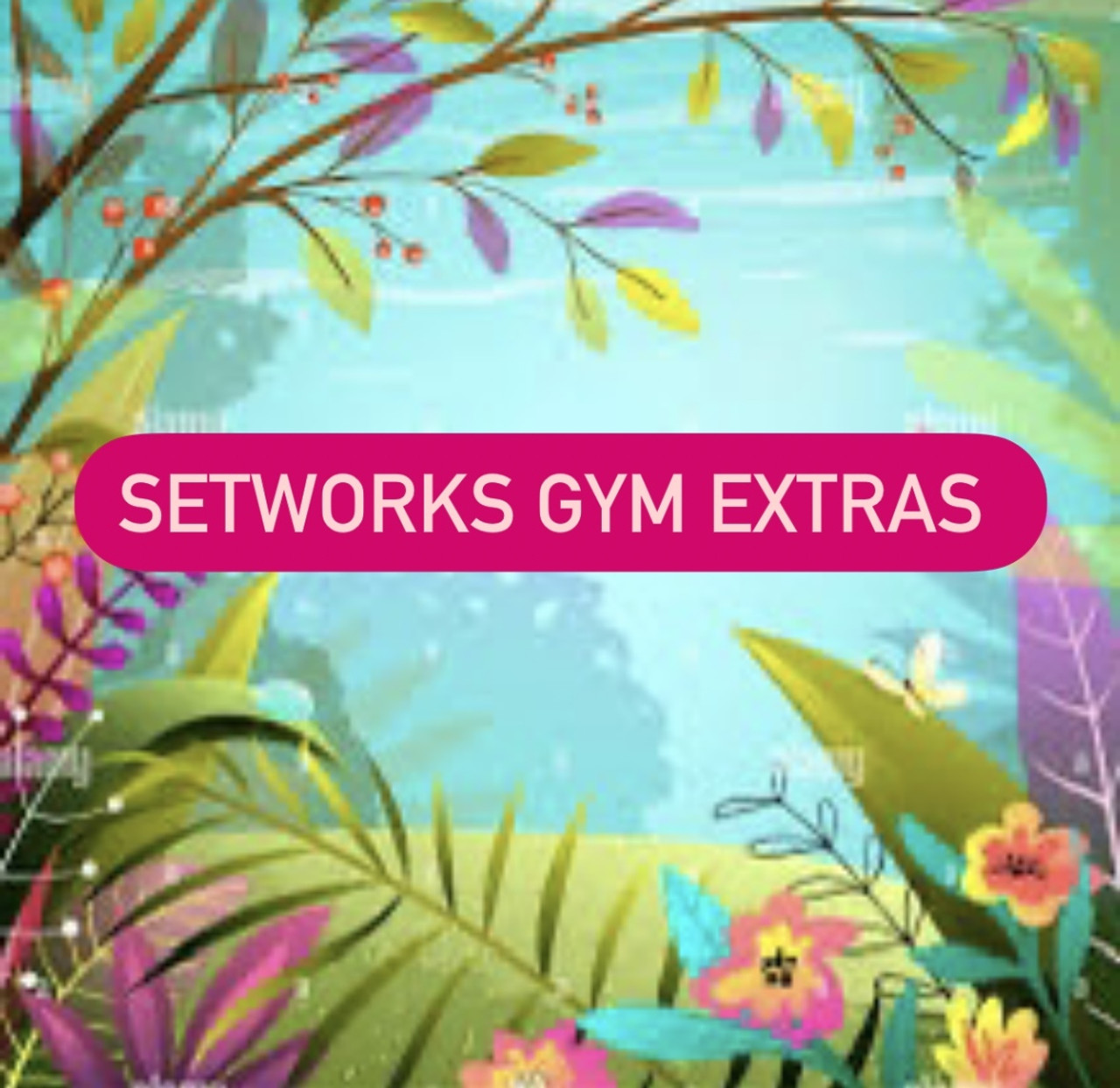 Competition Entry (COPGC Gymnasts Only)