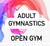 Adult Gymnastics Open Gym promotional graphic for City of Preston Gymnastics Club, with abstract red, pink, and blue swirls in the background.