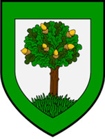 Flanagan Knitting Kit