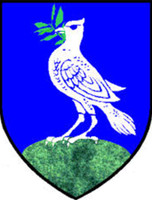 Sheehan Knitting Kit