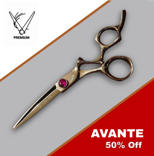 Avante DUO