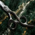 Quantum ROYAL MONARCH Scissor