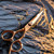  ELEGANCE ROSE - Hairdresser  Scissor