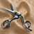 Quantum CONCORD Scissor