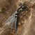 Quantum CONCORD Scissor