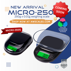 AWS-MICRO-250 250G X 0.01G POCKET SCALE