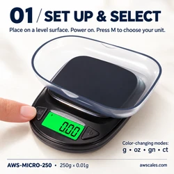 AWS-Micro-250 Review: Accuracy, Features and Best Uses