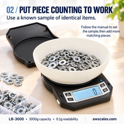 LB-3000 vs Blade Scale: Which AWS Scale Should You Choose?