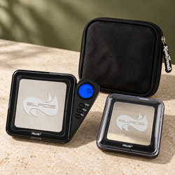 500g x 0.01g vs 1000g x 0.1g Scale: Capacity and Precision Compared