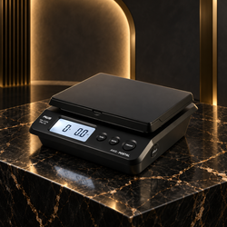 Best Digital Scale for Postal Mail