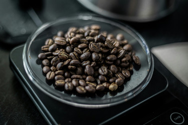 Best Digital Scale for Coffee Beans