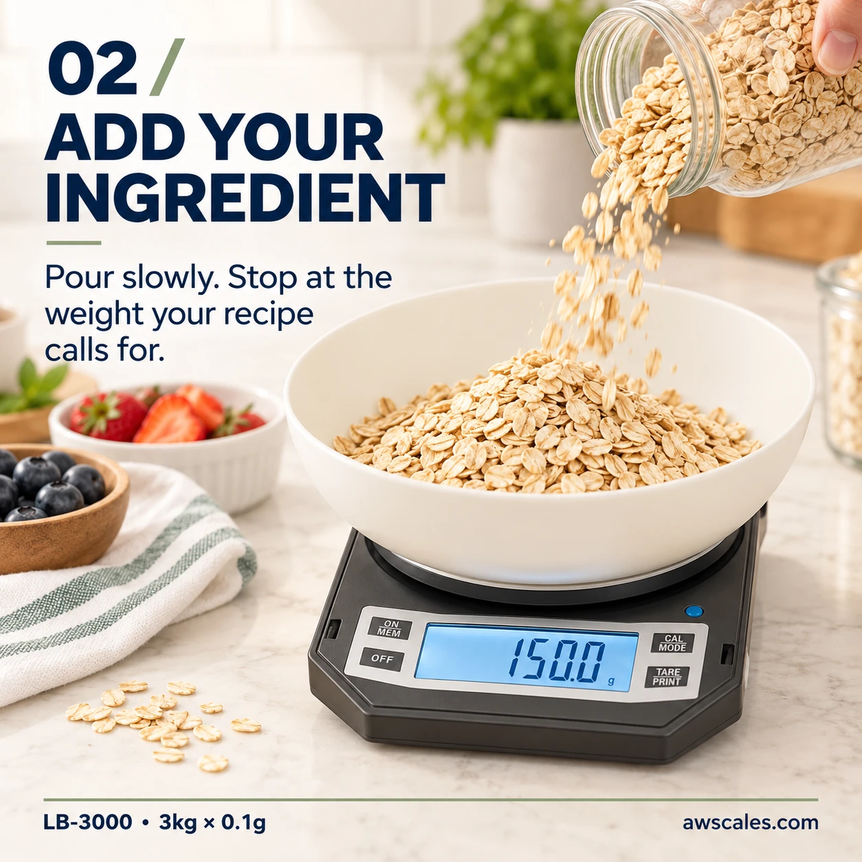 3000g x 0.1g Digital Scale Buying Guide: What the Specification Means