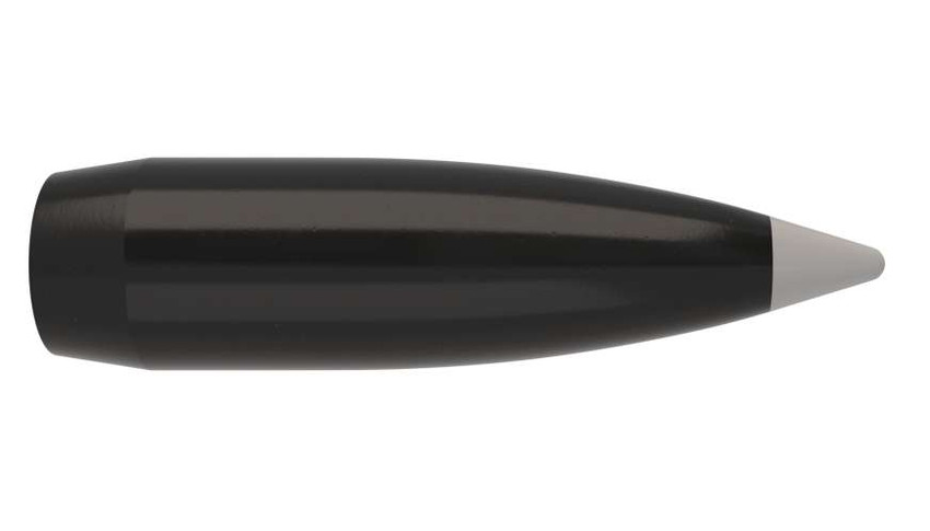 338 CAL/.338" 200 GR. NOSLER BALLISTIC SILVERTIP