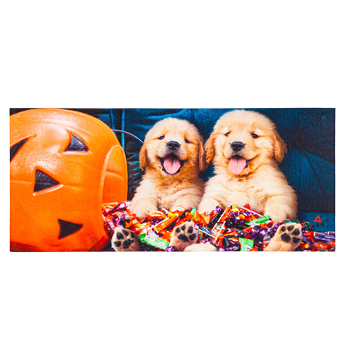 Trick or Treat Puppies Sassafras Switch Mat Trick or Treat Puppies Sassafras Switch Mat