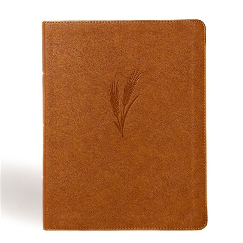 KVJ Notetaking Bible, Large Print Edition, Camel by Holman Bible Publishers KVJ Notetaking Bible, Large Print Edition, Camel by Holman Bible Publishers