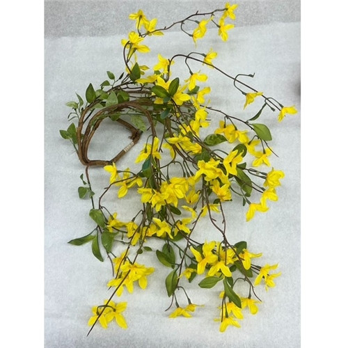 29" Forsythia Bush