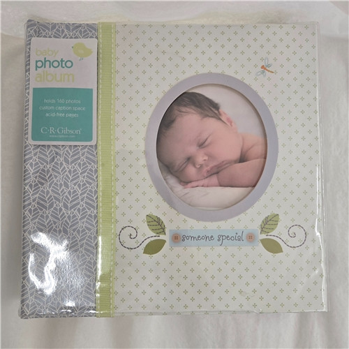 Nest Slim Bound Photo Journal