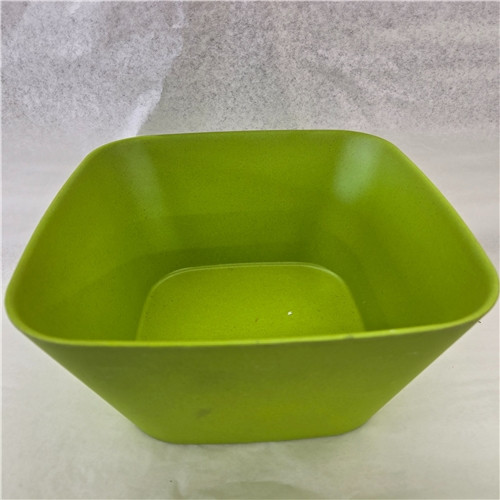 Salad Bowl Eco. Cactus