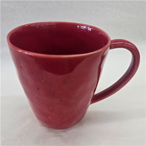 Casafina Red Mug