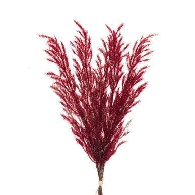 Plume Bundle 31”H