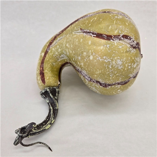 Pumpkin Gourd Assortment - Lime Green