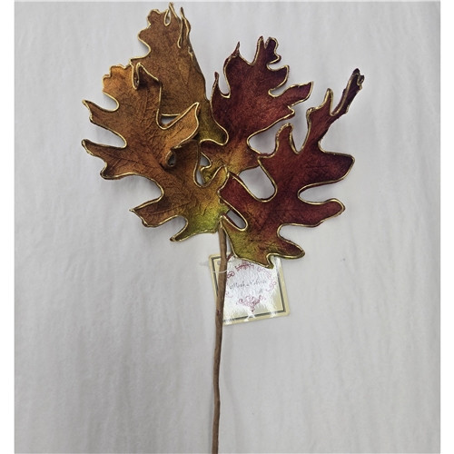 Fall Oak Leaves