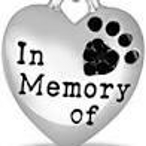 In Memory w/Paw Print Davinci Bead