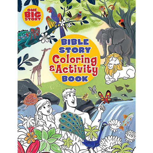 Bible Story Coloring/Activity Book