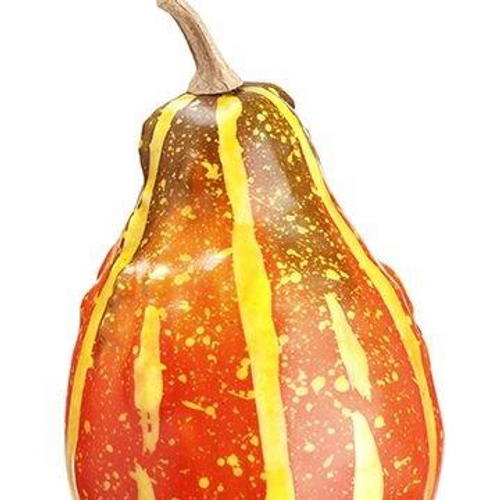 5" Acorn Gourd
