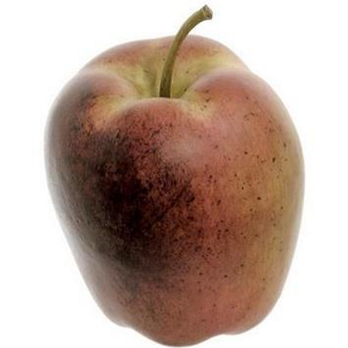 Dried apple 2.5" Dried apple 2.5"