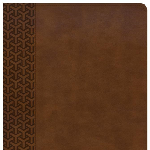 KJV Everyday Study Bible, British Tan