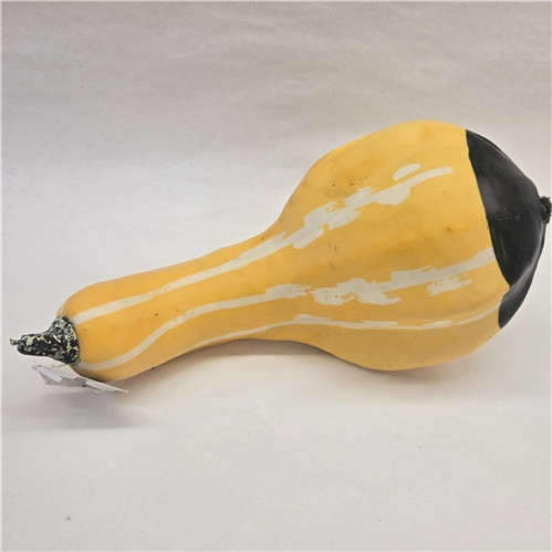 Medium Yellow Gourd Decor