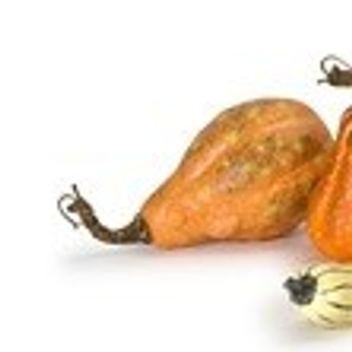Big Orange w/ Brown Gourd Decor Big Orange w/ Brown Gourd Decor
