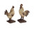 Chicken/Rooster (Asst)