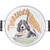 Tennessee Mascot Enamel Tray