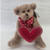 Kisses- Hearts Galore Brown Bear