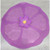 Hibiscus 9" Lid