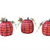 Pumpkin Fig 3 Asst sold separately