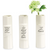 Teacher Flower Stem Vase